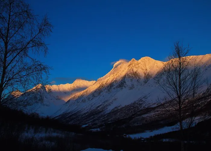 Gjestegard As Lyngseidet
